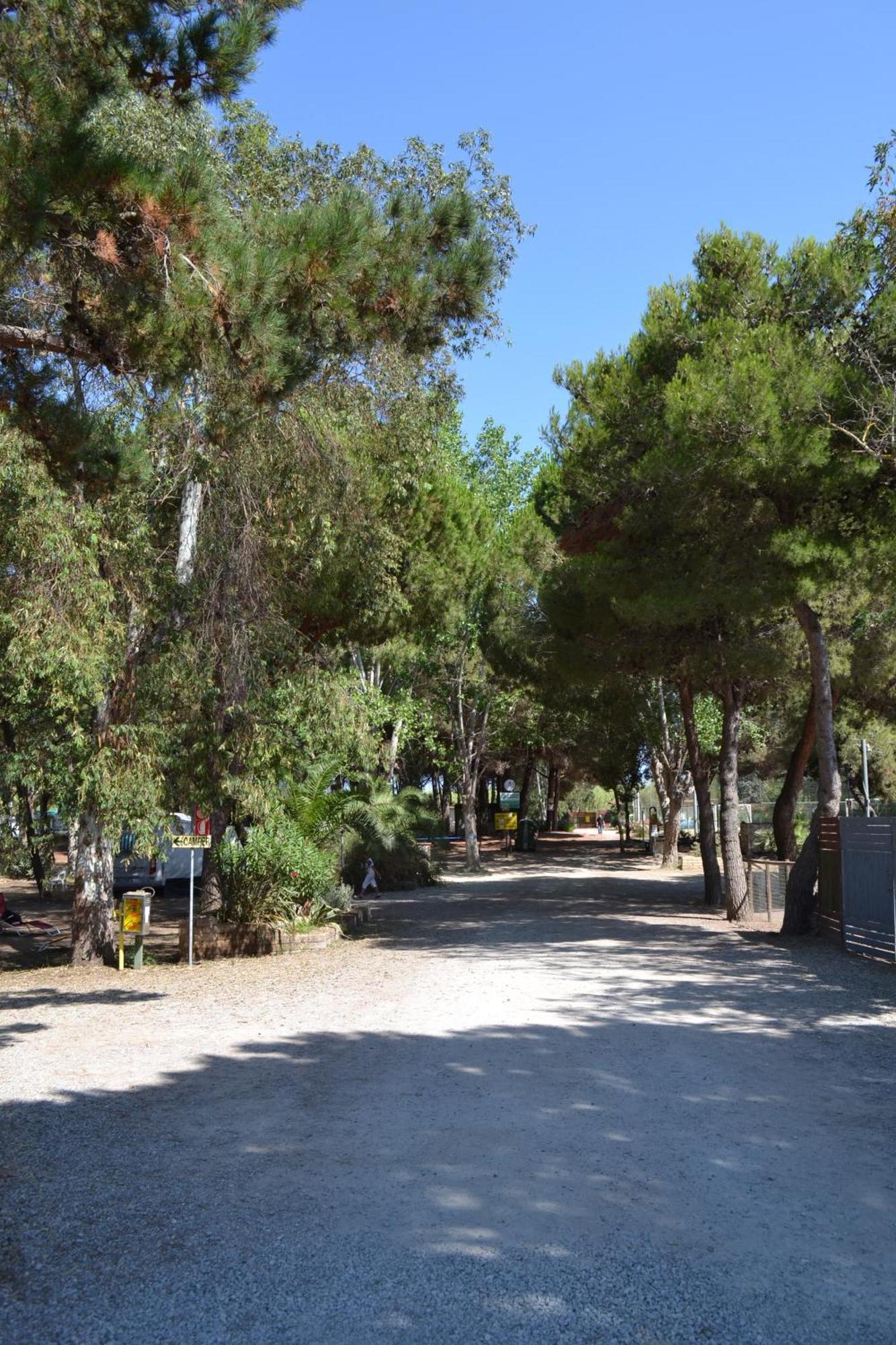 Giannella Camping Orbetello Buitenkant foto